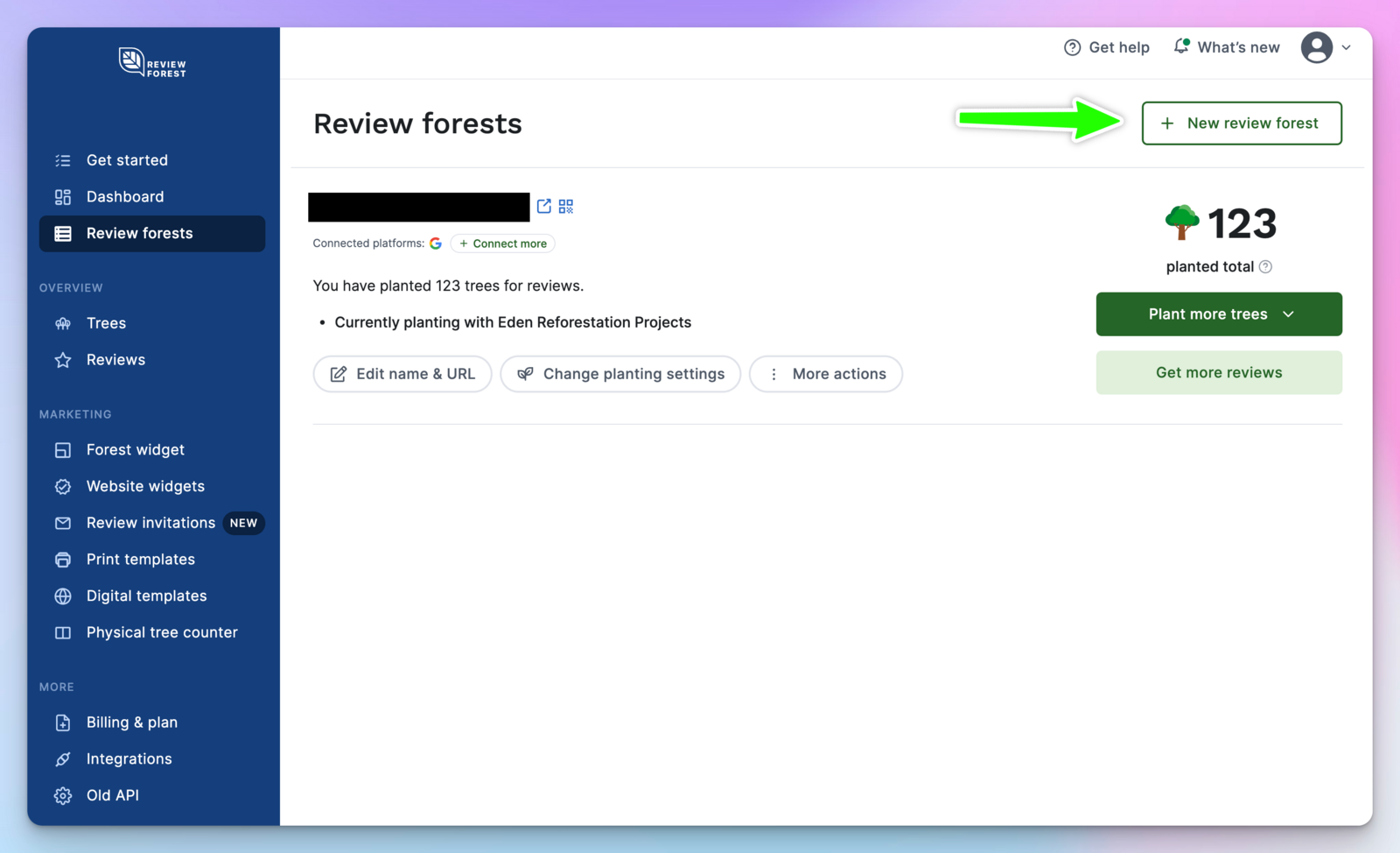 New Review Forest Creation